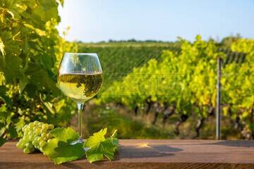 Terreno a Mazara del vallo - Foto 3