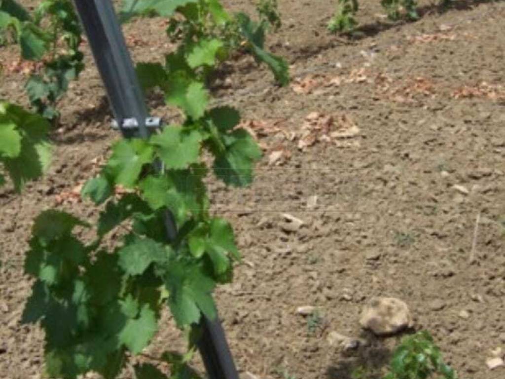 Terreno a Mazara del vallo - Foto 5