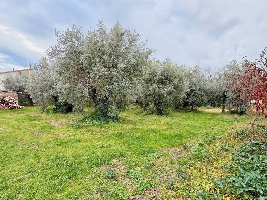 Terreno a Lariano in Via Volturno - Foto 4