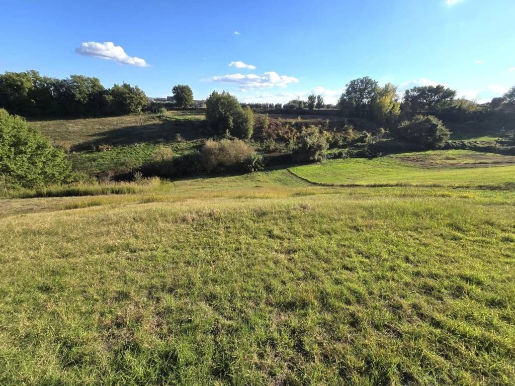 Terreno a Colle di val d'elsa - Foto 3