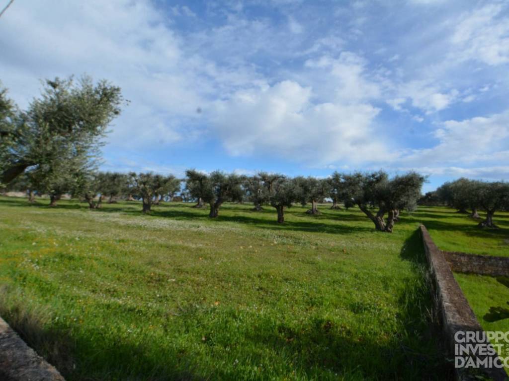 Terreno a Ceglie messapica in SS581 - Foto 3