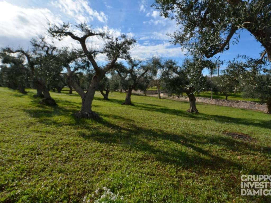 Terreno a Ceglie messapica in SS581 - Foto 4