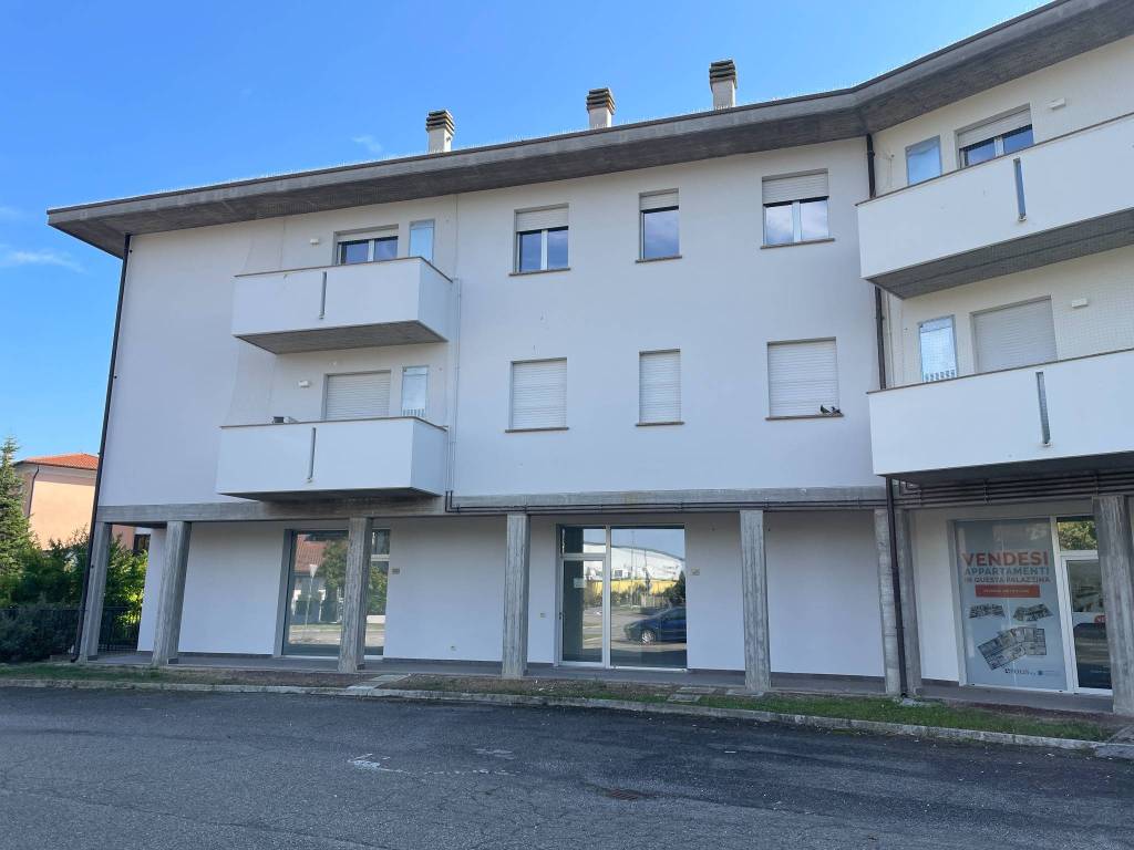 Appartamento a San felice sul panaro in Via Ciro Menotti - Foto 4