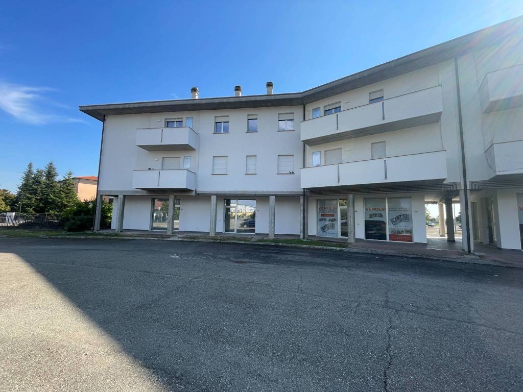 Appartamento a San felice sul panaro in Via Ciro Menotti - Foto 5
