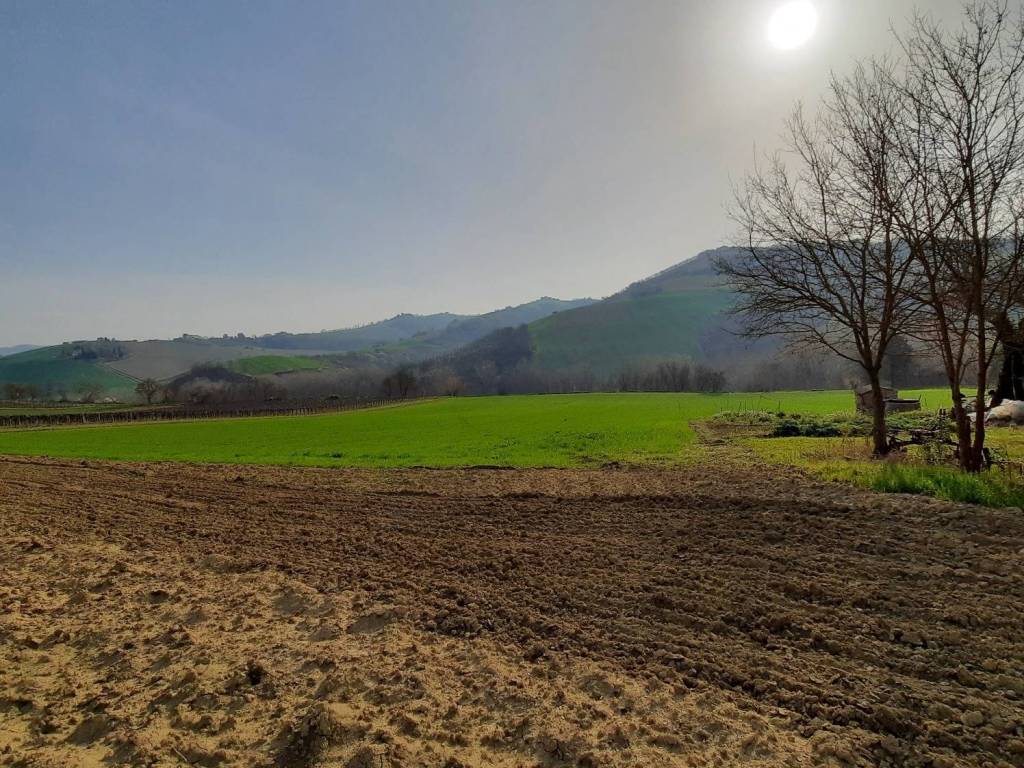 Villa a Ripatransone - Foto 4