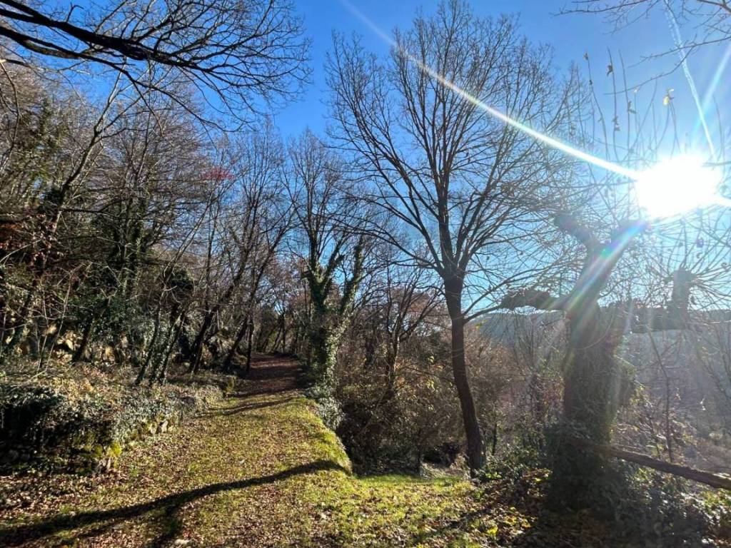 Rustico / casale a Badia calavena - Foto 4