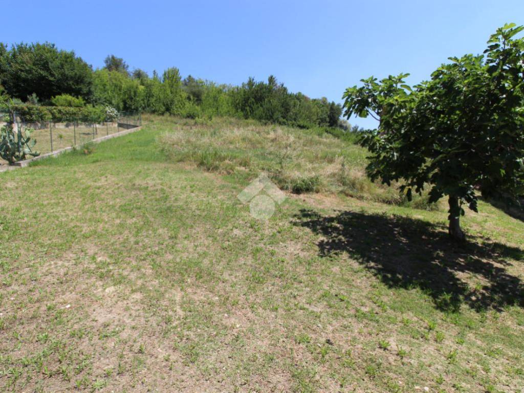 Terreno a Castel di lama in via F.Filzi - Foto 2
