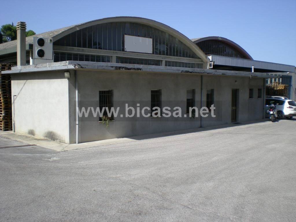 Immobile a Montegridolfo in VIA SAN PIETRO, 1 - Foto 3