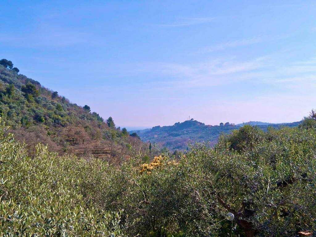Villa a Imperia in Via Moltedo - Foto 2