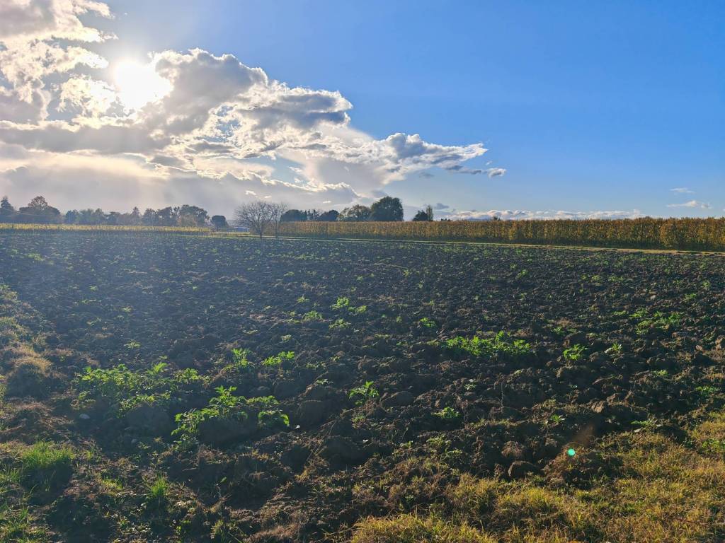 Terreno a Imola in Via Umido - Foto 4