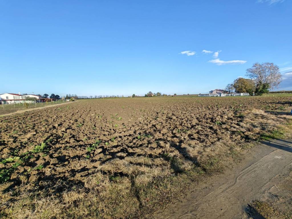 Terreno a Imola in Via Umido - Foto 5