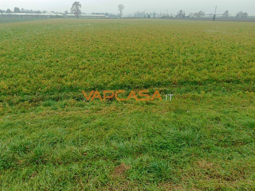 Terreno a Cologno al serio in STRADA PROVINCIALE FRANCESCA - Foto 5