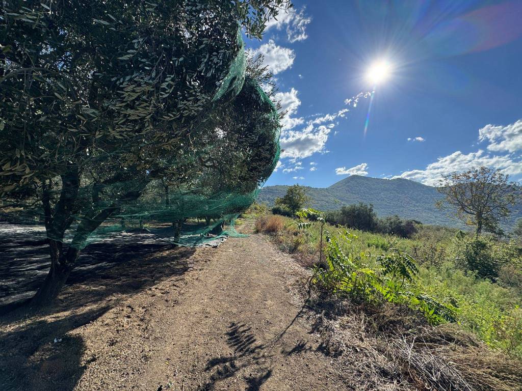 Rustico / casale a Sarno in Via Bracigliano - Foto 2