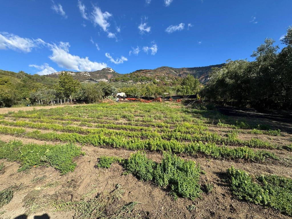 Rustico / casale a Sarno in Via Bracigliano - Foto 4