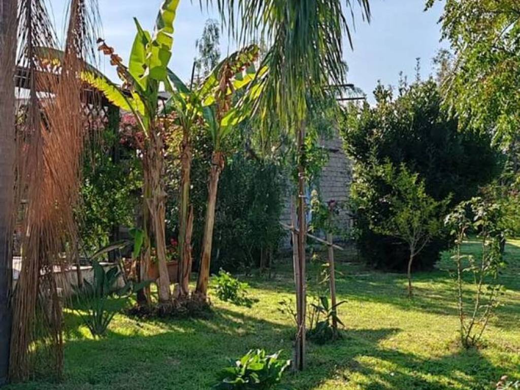 Terreno a Latina in Strada Nascosa, 2538 - Foto 5