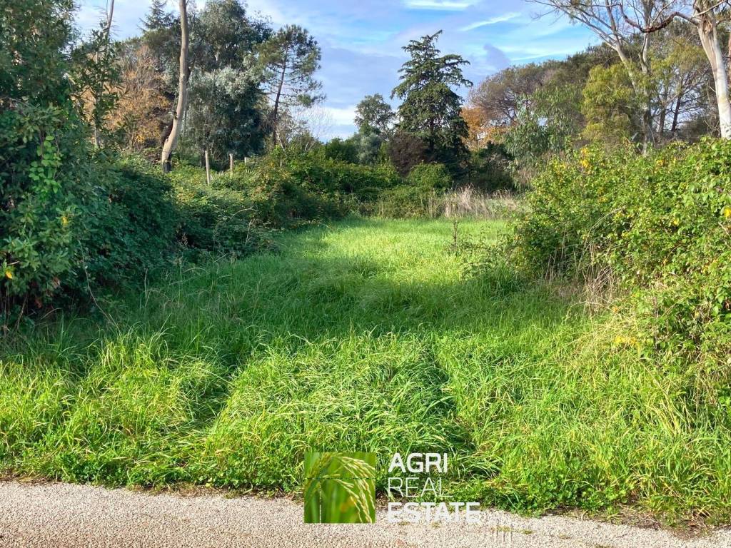 Terreno a Latina in Strada Nascosa, 5028 - Foto 4