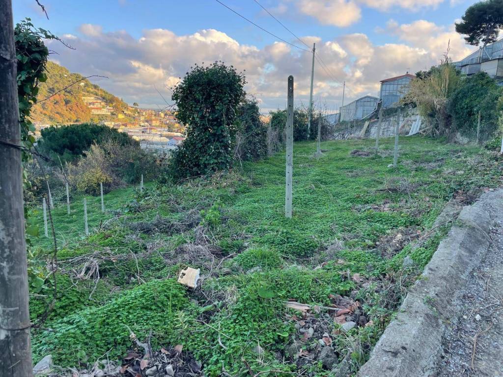 Terreno a Camporosso in Corso Repubblica - Foto 2