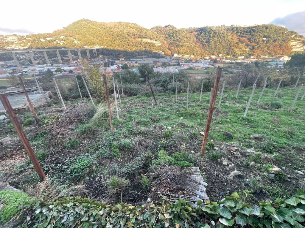 Terreno a Camporosso in Corso Repubblica - Foto 3