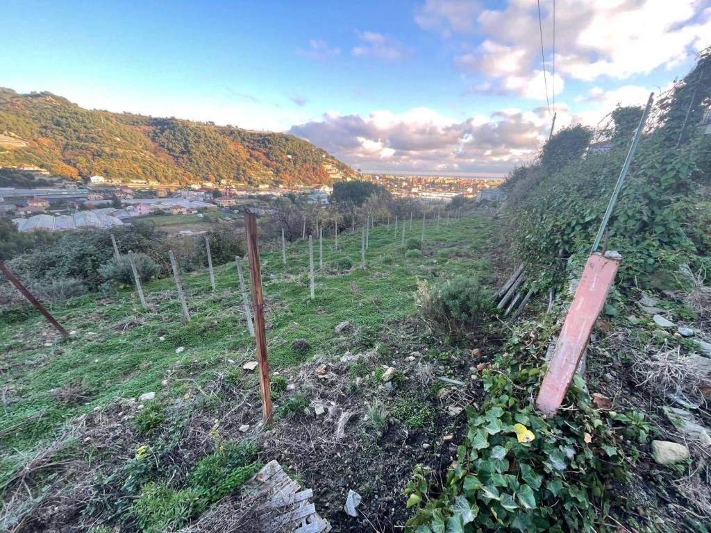 Terreno a Camporosso in Corso Repubblica - Foto 4