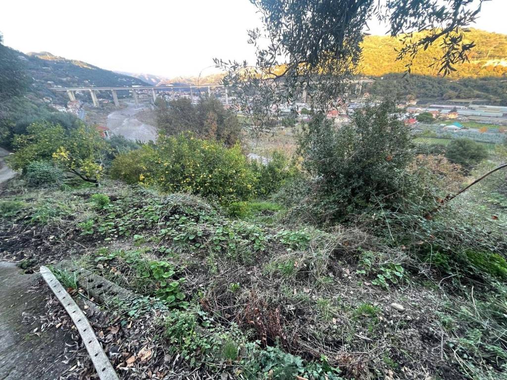 Terreno a Camporosso in Corso Repubblica - Foto 5