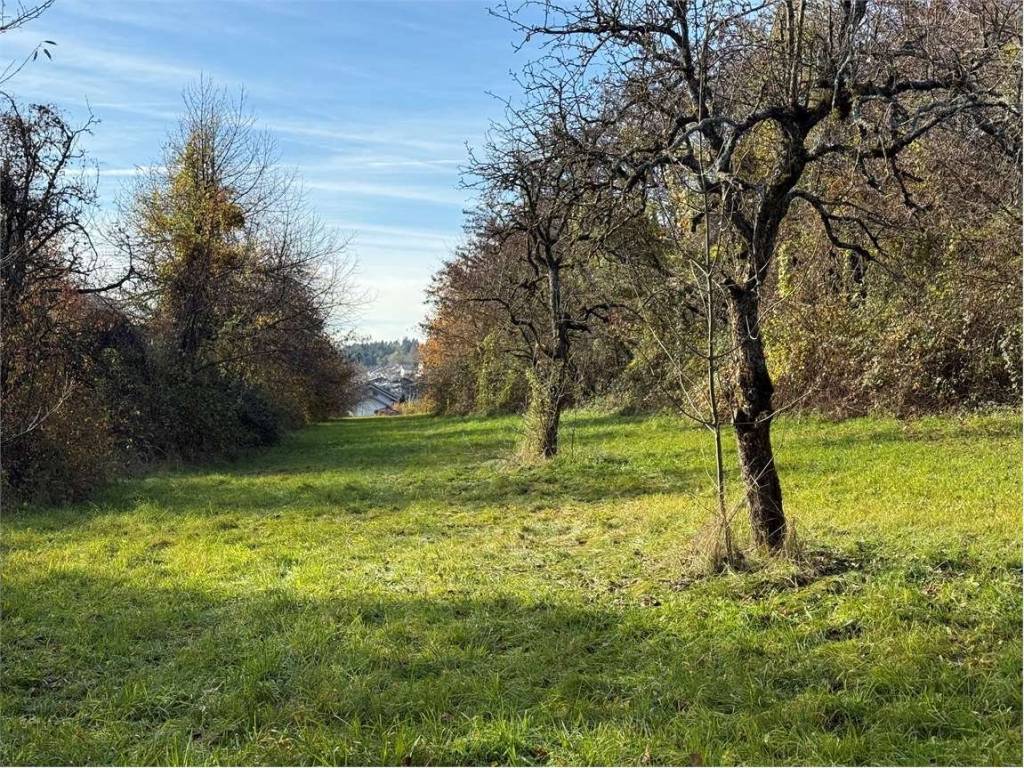 Terreno a Fornace in Via Salesadi , 5 - Foto 2