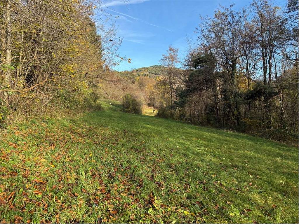 Terreno a Fornace in Via Salesadi , 5 - Foto 3