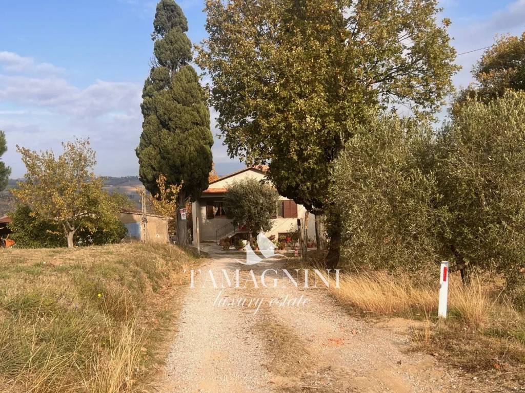 Rustico / casale a Paciano - Foto 4
