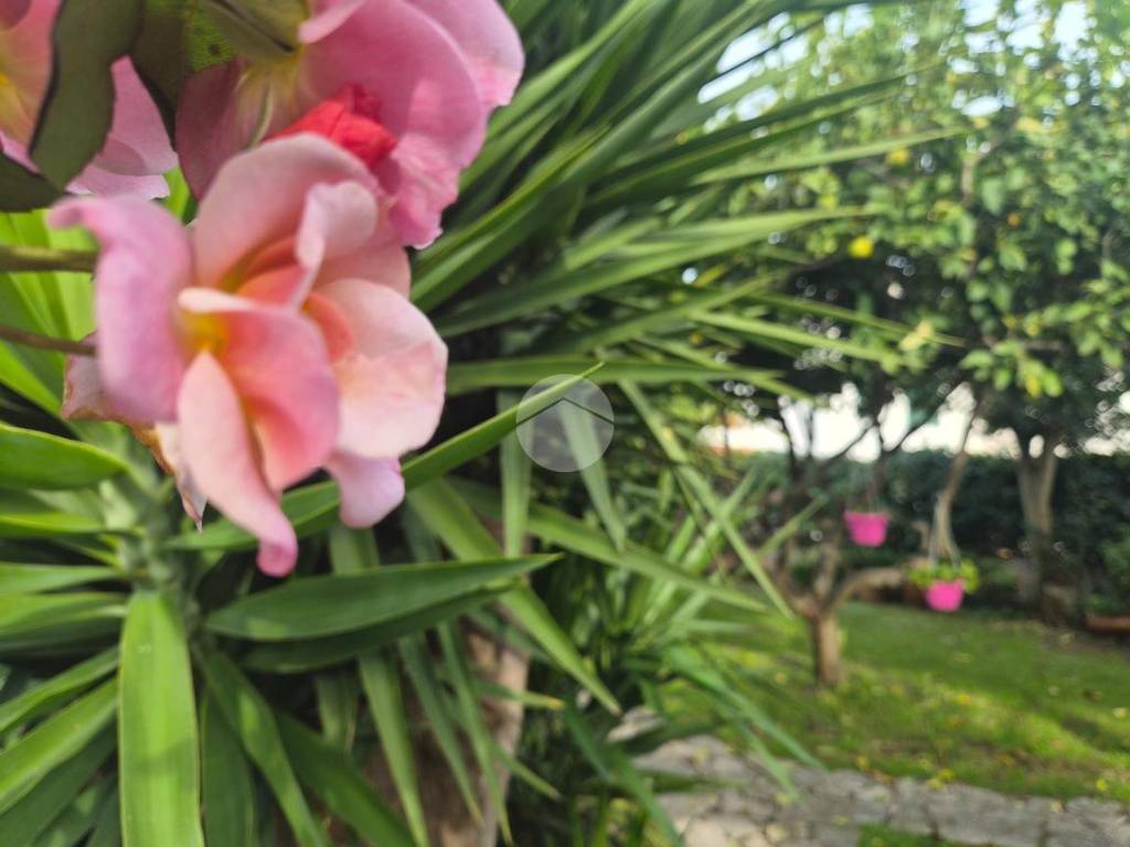 Villa a Giugliano in campania in Via Madonna del Pantano, 170 - Foto 2
