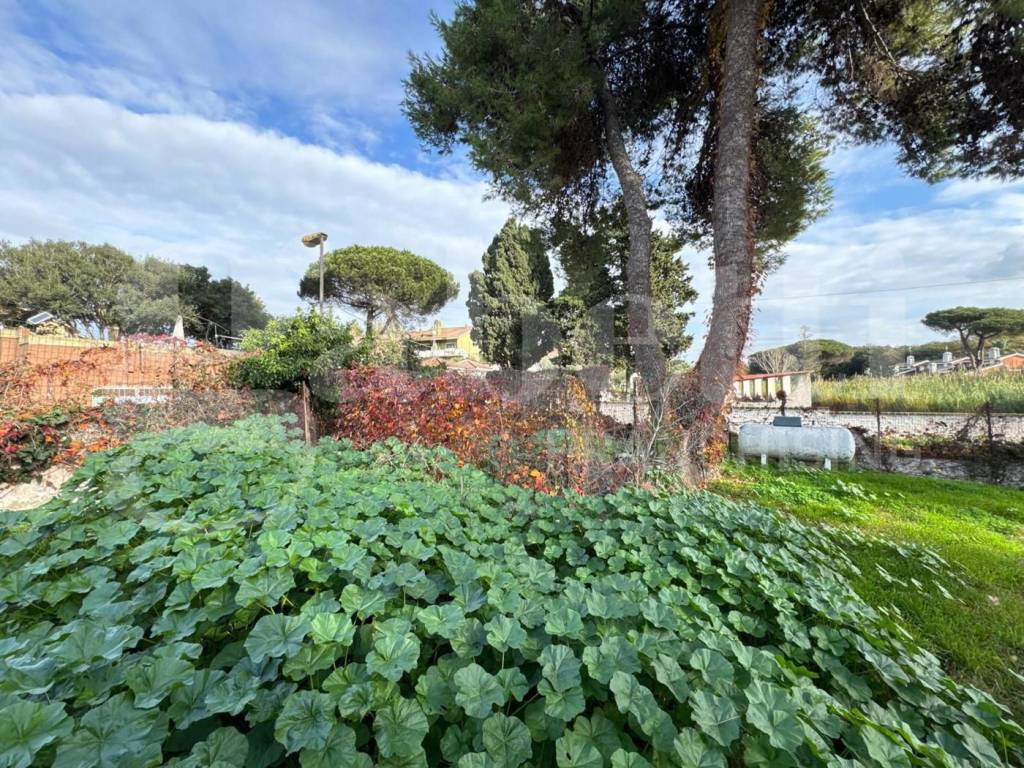 Villa a Ardea in via tirso, 48 - Foto 2