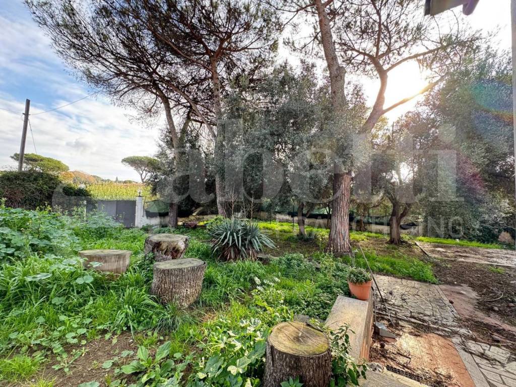 Villa a Ardea in via tirso, 48 - Foto 4