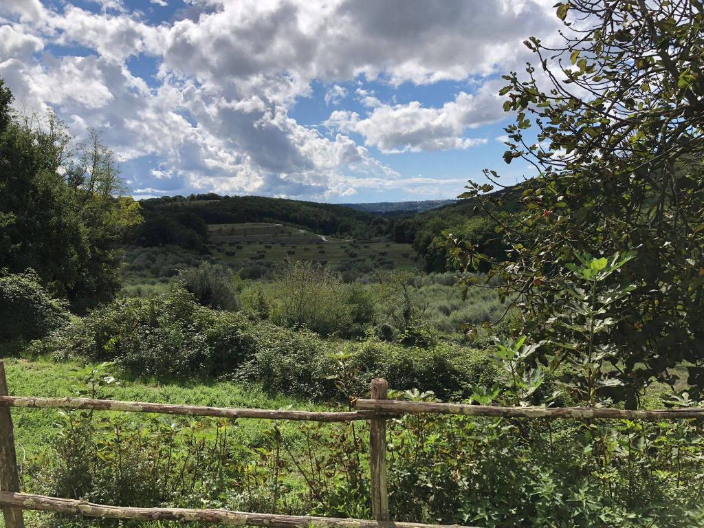 Rustico / casale a Massa marittima in Via 25 Aprile - Foto 4