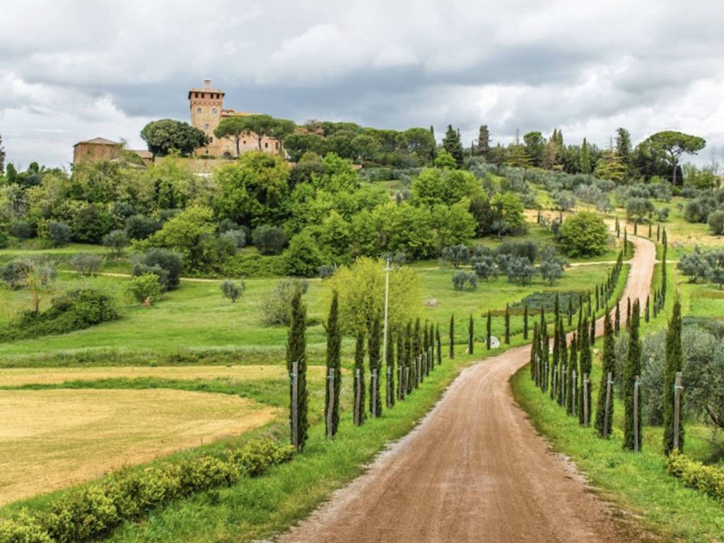 Rustico / casale a Castelnuovo berardenga in strada provinciale 102 - Foto 3