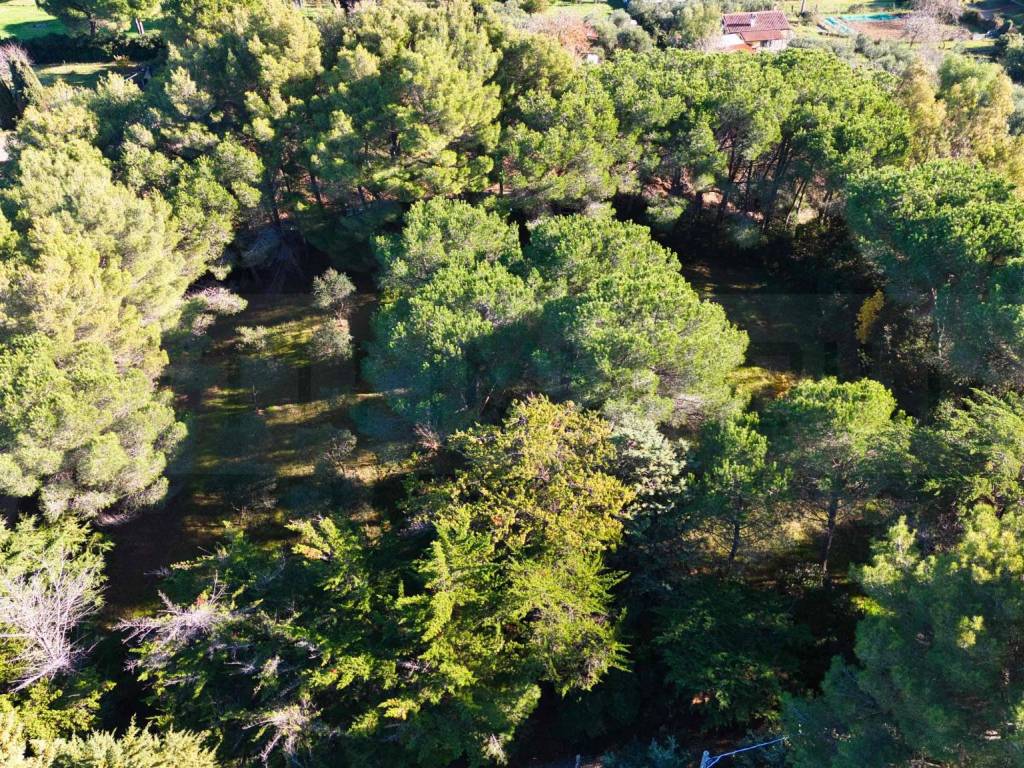 Terreno a Piombino in Località Asca, 11 - Foto 4
