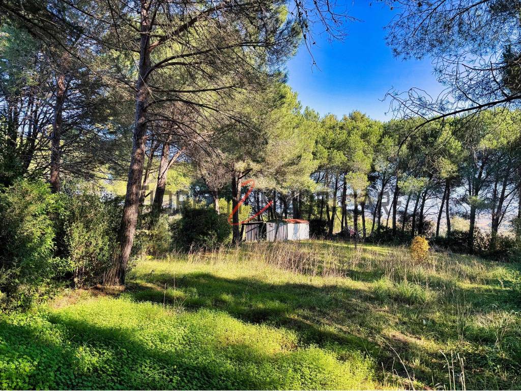 Terreno a Piombino in Località Asca, 11 - Foto 5