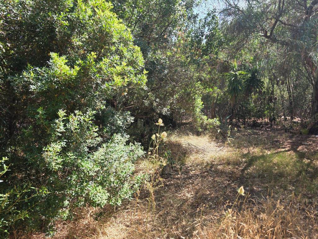 Villa a Pula in Località Comunione Is Morus - Foto 2