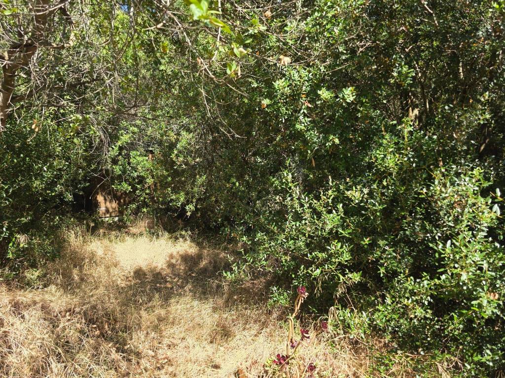 Villa a Pula in Località Comunione Is Morus - Foto 3