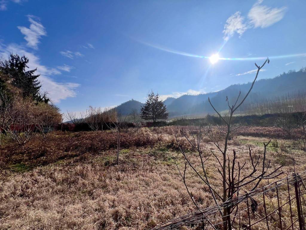 Rustico / casale a Corneliano d'alba in Regione Migliero, 2 - Foto 5