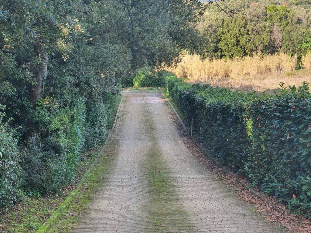 Appartamento a Rosignano marittimo in Località Sassogrosso, 77 - Foto 3