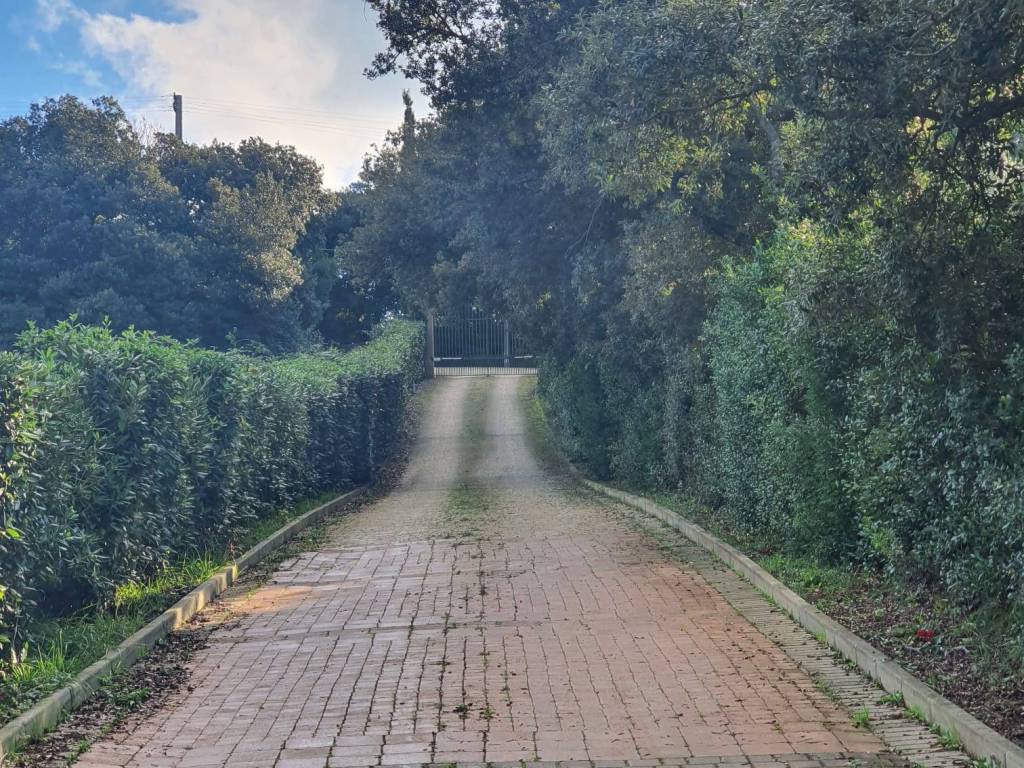 Appartamento a Rosignano marittimo in Località Sassogrosso, 77 - Foto 4