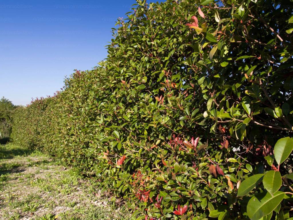 Terreno a Gaeta in Via Montecristo - Foto 3