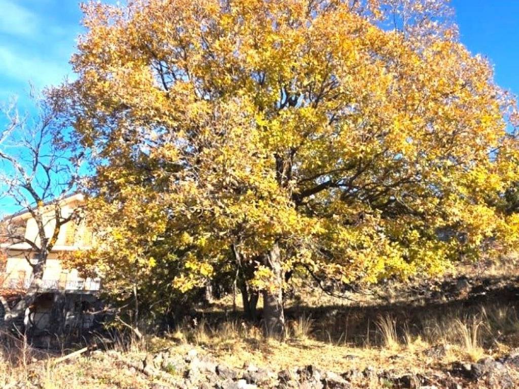 Terreno a Ragalna in Contrada Milia - Foto 2