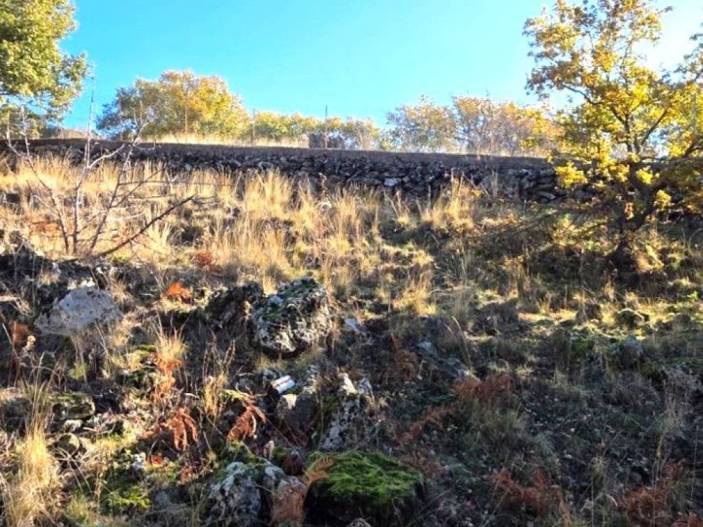 Terreno a Ragalna in Contrada Milia - Foto 3