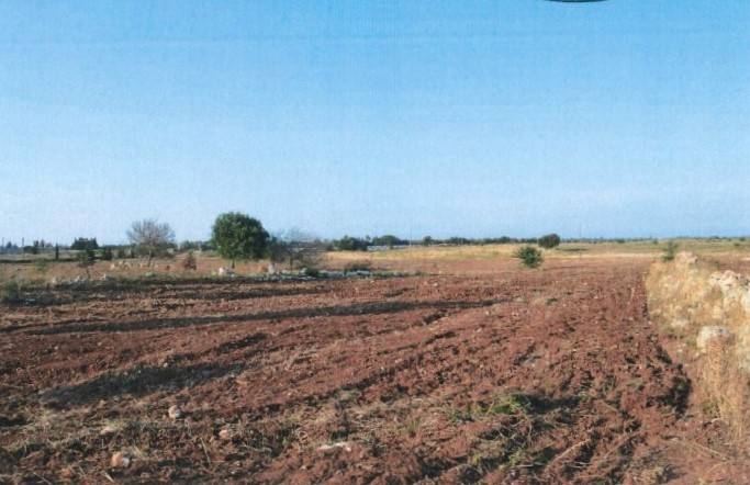 Terreno a Lecce in Via dell'Avocetta - Foto 2