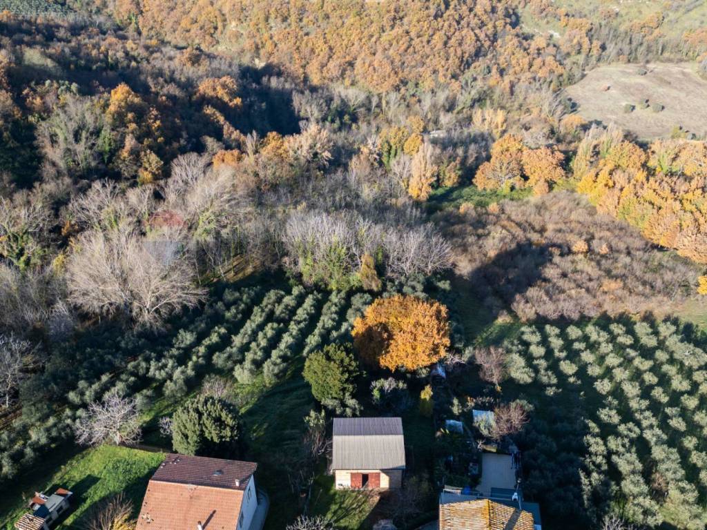 Terreno a Montecarotto in via Amendola, 22 - Foto 3