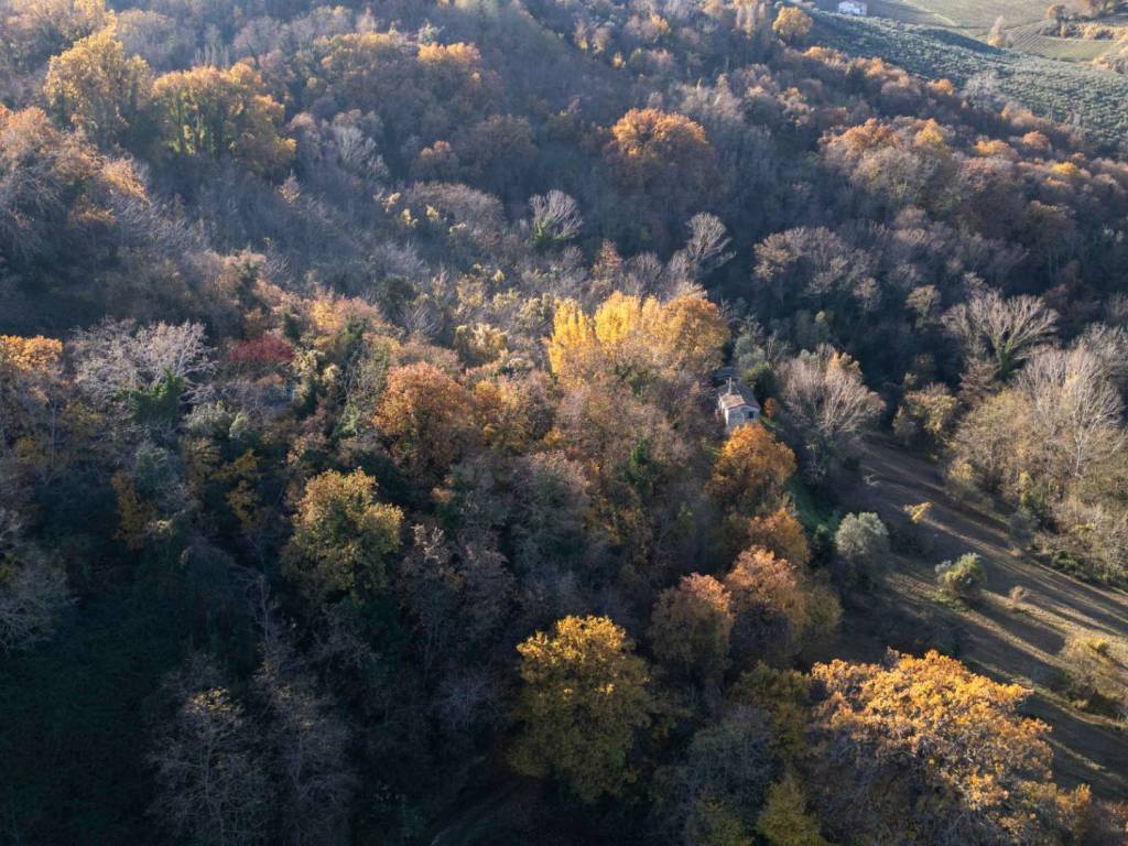 Terreno a Montecarotto in via Amendola, 22 - Foto 5