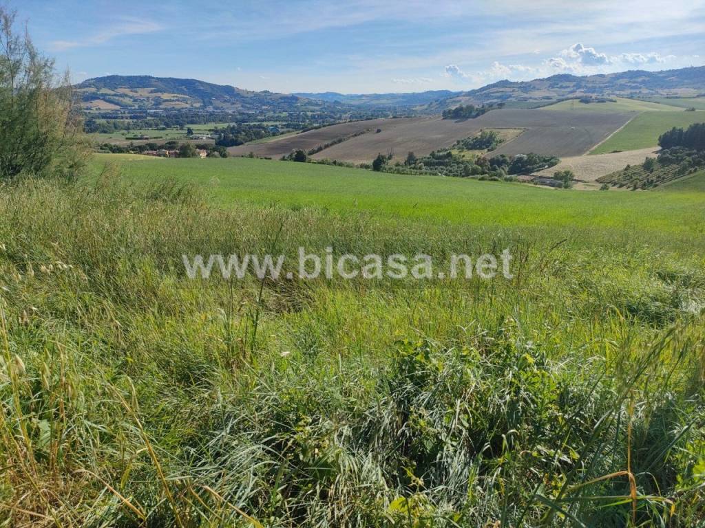 Terreno a Vallefoglia in Via Re dei gatti - Foto 3