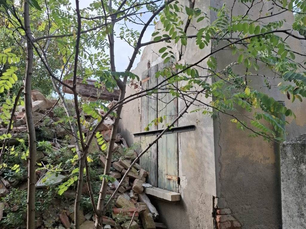 Rustico / casale a Zola predosa - Foto 3