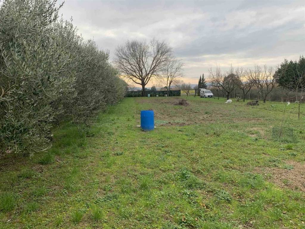 Terreno a Campi bisenzio - Foto 2