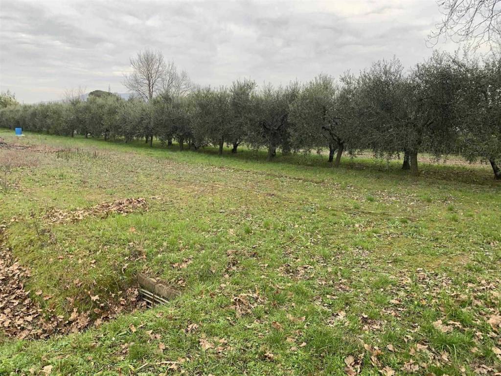 Terreno a Campi bisenzio - Foto 3