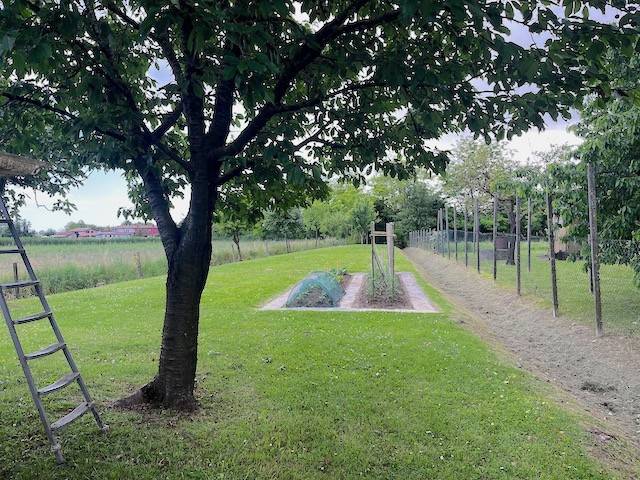 Appartamento a Salgareda - Foto 5